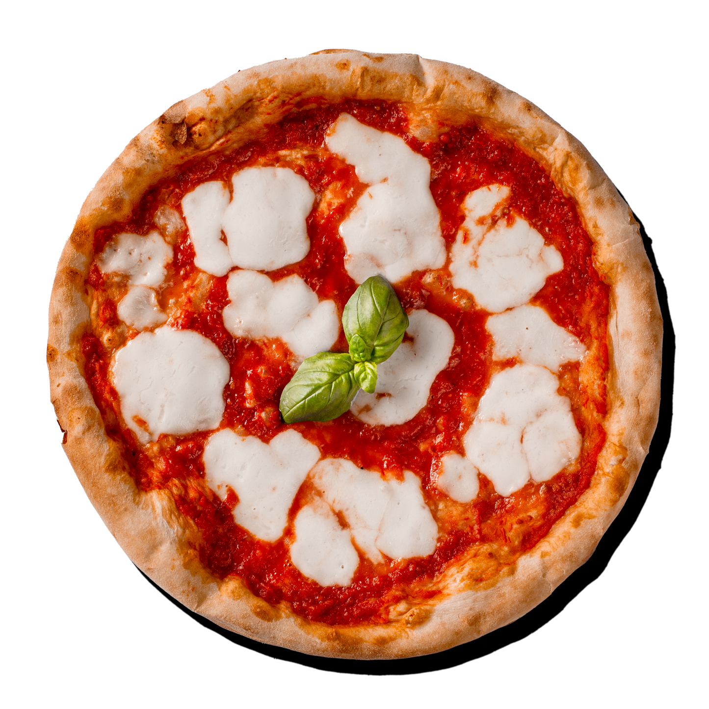 MARGHERITA